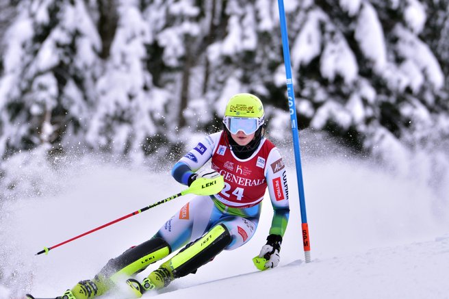 neja dvornik