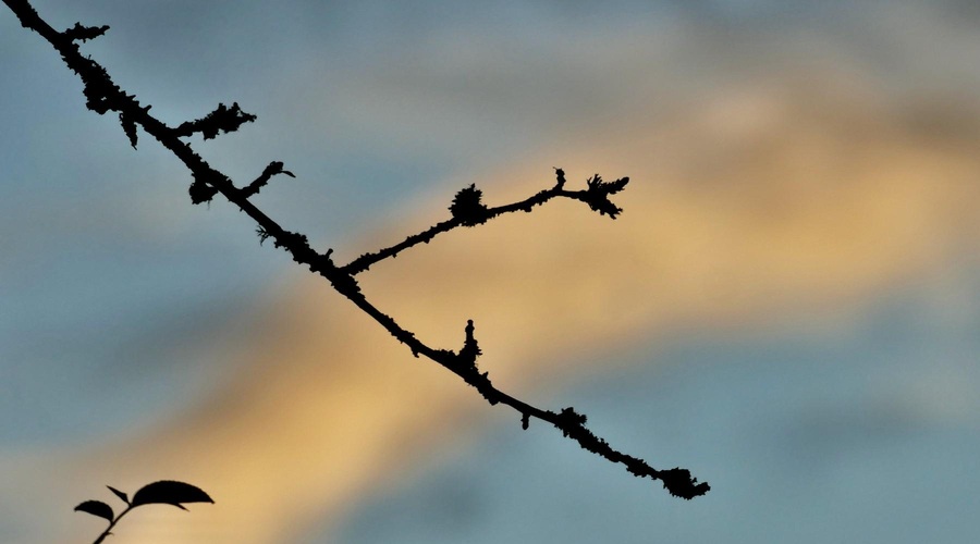 Ponekod bodo vztrajale krajevne padavine, presenetil nas bo tudi ... (foto: Profimedia)