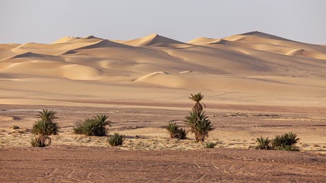 Sahara puščava