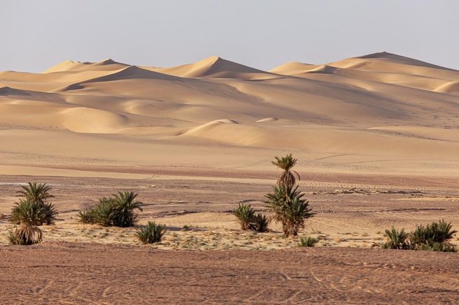 Sahara puščava
