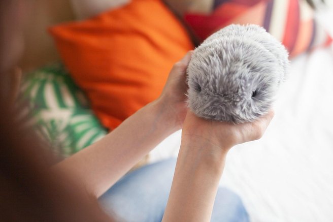 Žalostni? Pod stresom? Ta plišasta živalca z umetno inteligenco poskrbi za vaše duševno zdravje
