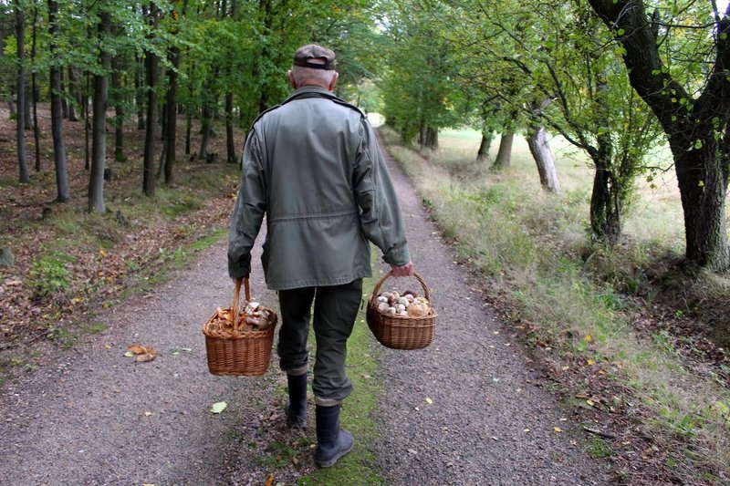 gobe, zastrupitev