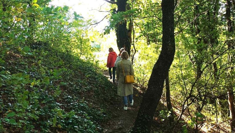 Rodoboj Hrvasko Zagorje gozdna kopel