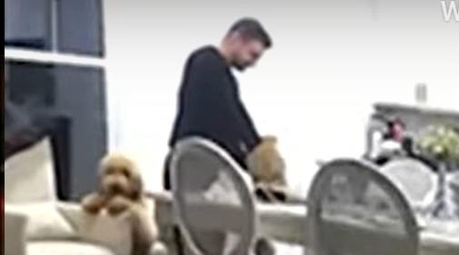 VIDEO: Nadzorna kamera prebrisanega kužka ujela pri dejanju (smeh zagotovljen!) (foto: Youtube/posnetek zaslona)