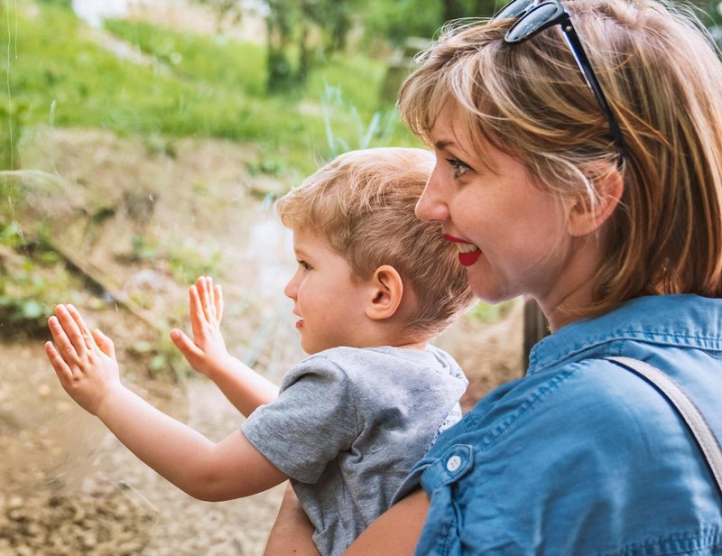 živali živalski vrt ZOO Ljubljana mladiči ježevec