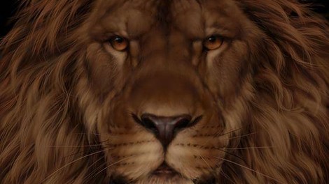 Vsi mislijo, da na fotografiji vidijo leva, a le visoko inteligentni ljudje opazijo tudi drugo žival