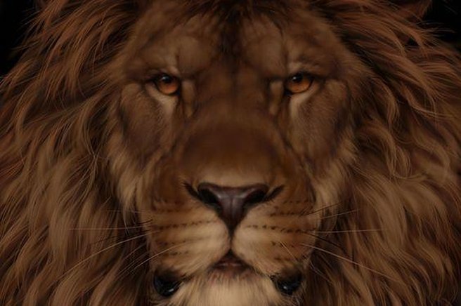 Vsi mislijo, da na fotografiji vidijo leva, a le visoko inteligentni ljudje opazijo tudi drugo žival