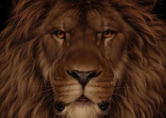 Vsi mislijo, da na fotografiji vidijo leva, a le visoko inteligentni ljudje opazijo tudi drugo žival