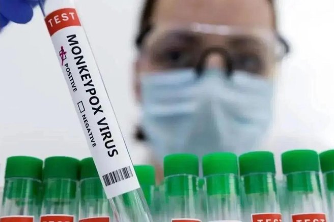 virus, nov virus