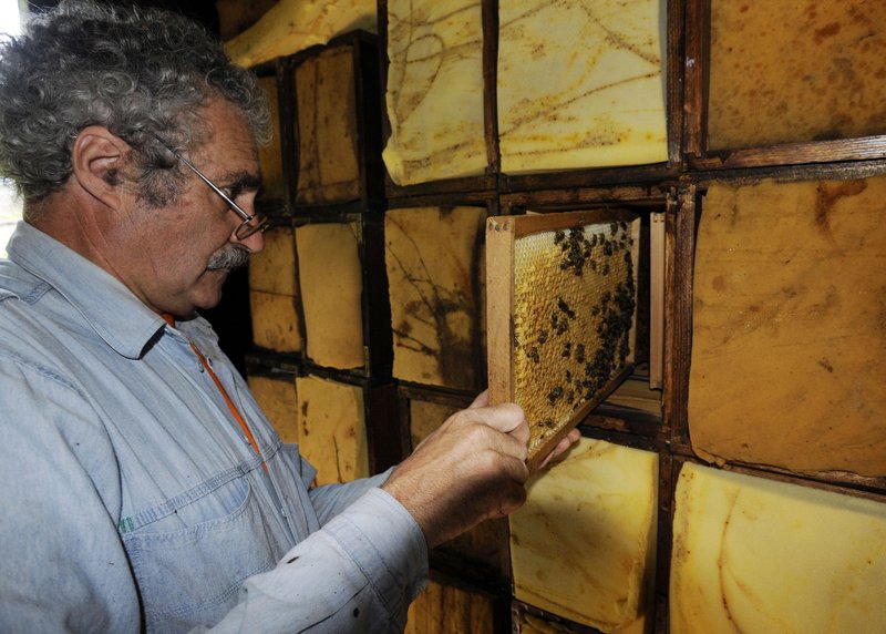 V Sloveniji, kjer ima čebelarstvo dolgo in bogato tradicijo, apiturizem postaja vse bolj priljubljen, saj združuje užitek ob spoznavanju narave, tradicionalne kulture ter zdravja in dobrega počutja.