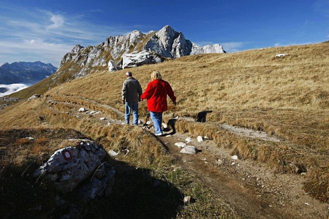živali ovca jagnje zdravje reševanje