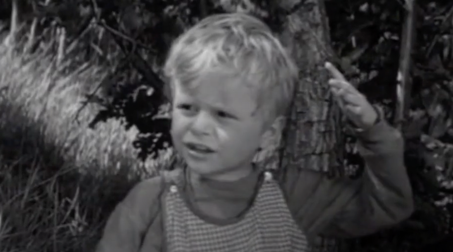 Blestel je v filmu Ne joči, Peter: kje je danes legendarni slovenski igralec? (foto: YouTube/KUD Škofljica/Ne joči, Peter - napovednik/posnetek zaslona)