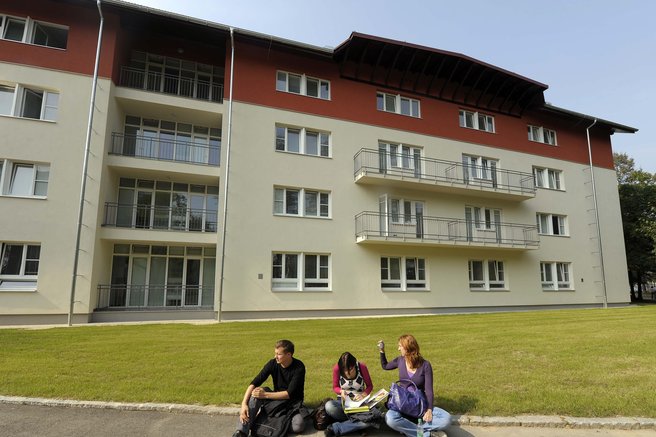 dom studentje