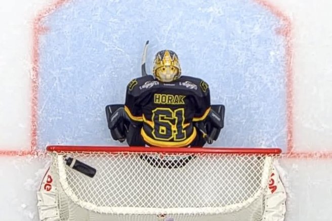 Lukas Horak, hokej