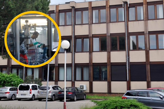 Cimos Koper tovarna delavci proizvodnja avtomobili