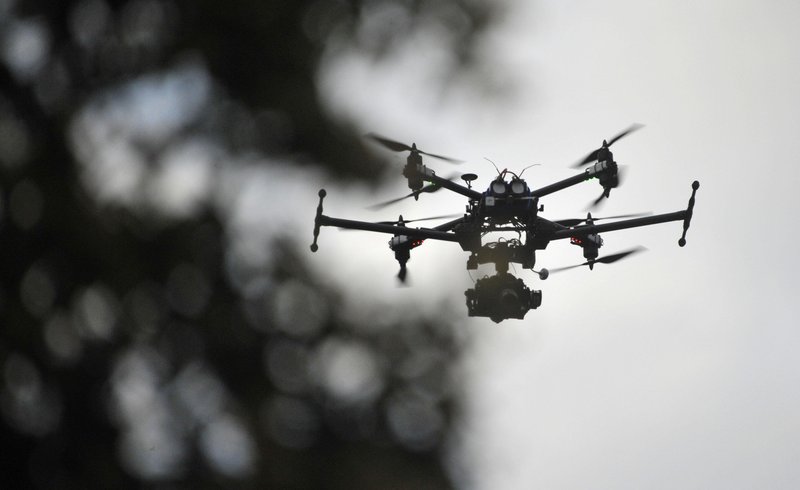 dron, drevesa, gozdovi