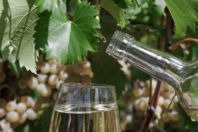vino