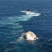 živali kit grbavec Južna Afrika ocean reševanje