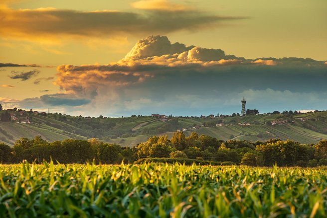 lendava