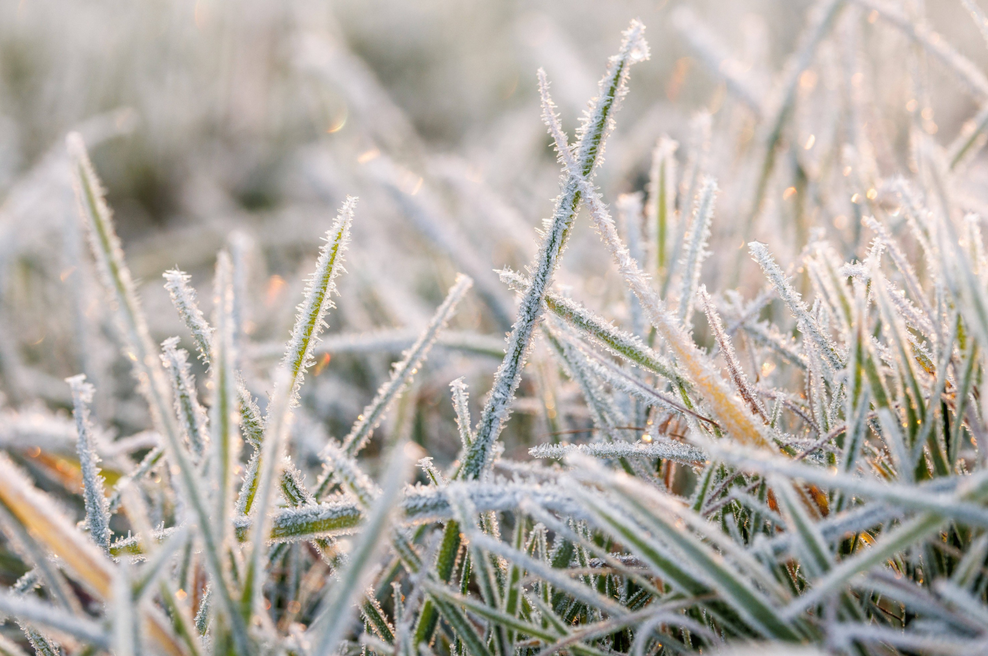 Mislili, da je že konec, ob jutranjem svitu pa znova šok! (foto: Profimedia)