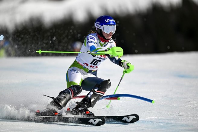 andreja slokar