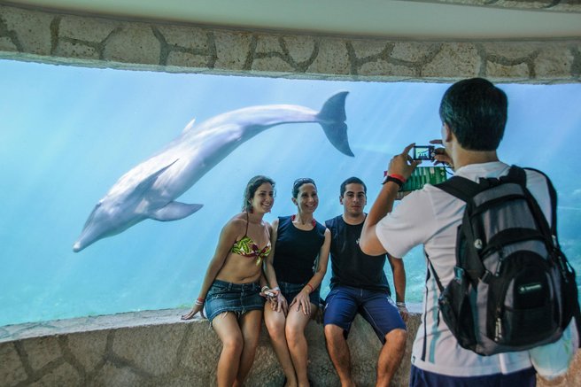 živali delfini ujetništvo akvarij ocean Belgija