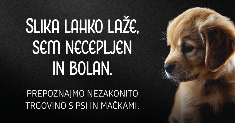 Ste opazili te plakate?