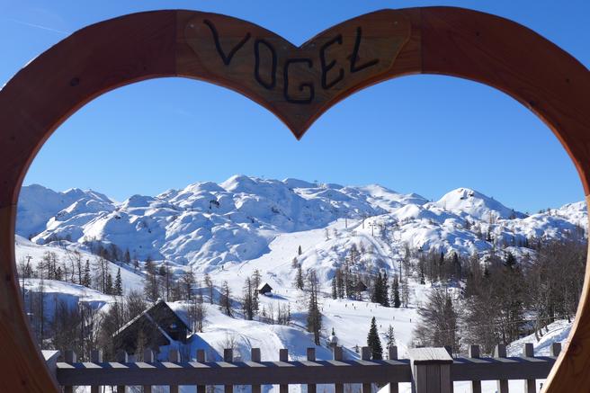 vogel smucisce