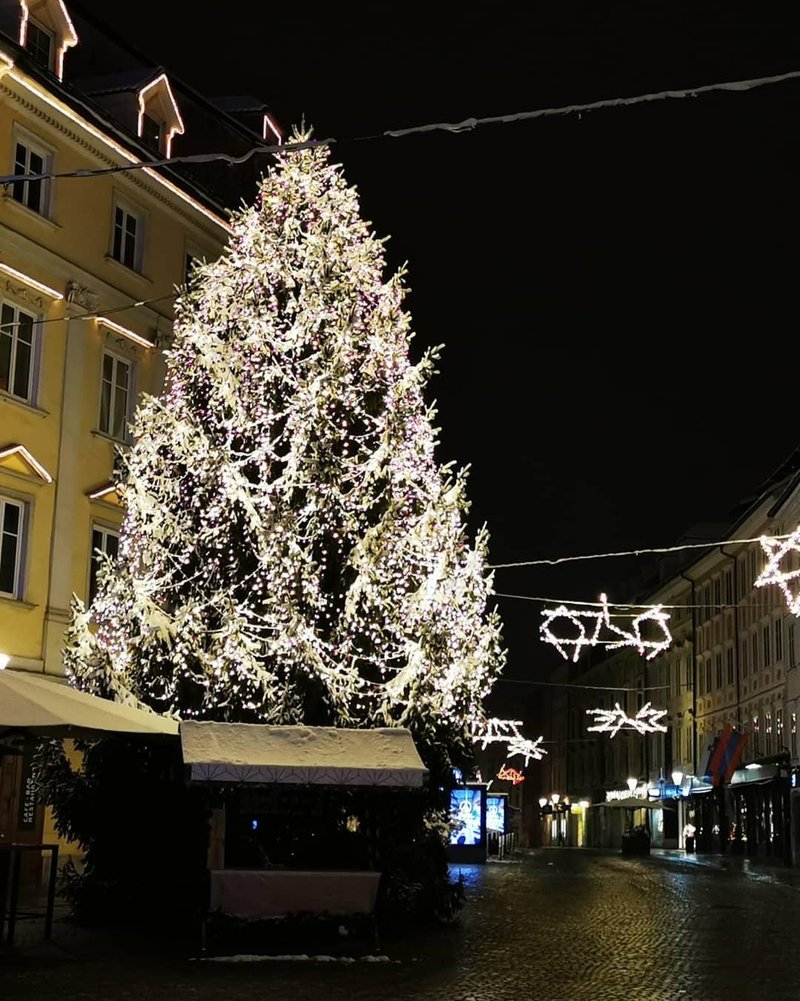 Smreka na Mestnem trgu, fotografija iz leta 2019.