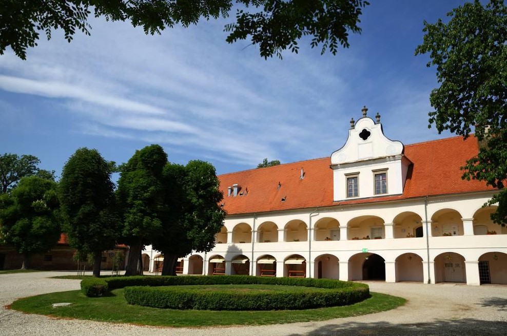 Javnost se sprašuje, kaj bo z evropskimi projekti, koliko bo propad javnega zavoda stal občino in kaj bo s porokami, ki so bile načrtovane v dvorcu. (foto: Turistično informacijski center Murska Sobota)