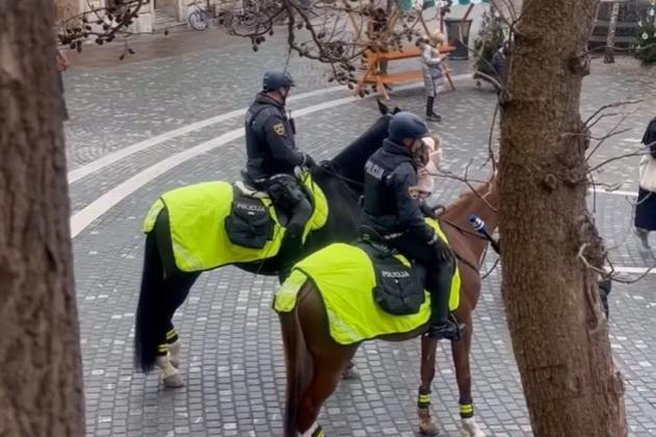 živali policija slovenska policija konj