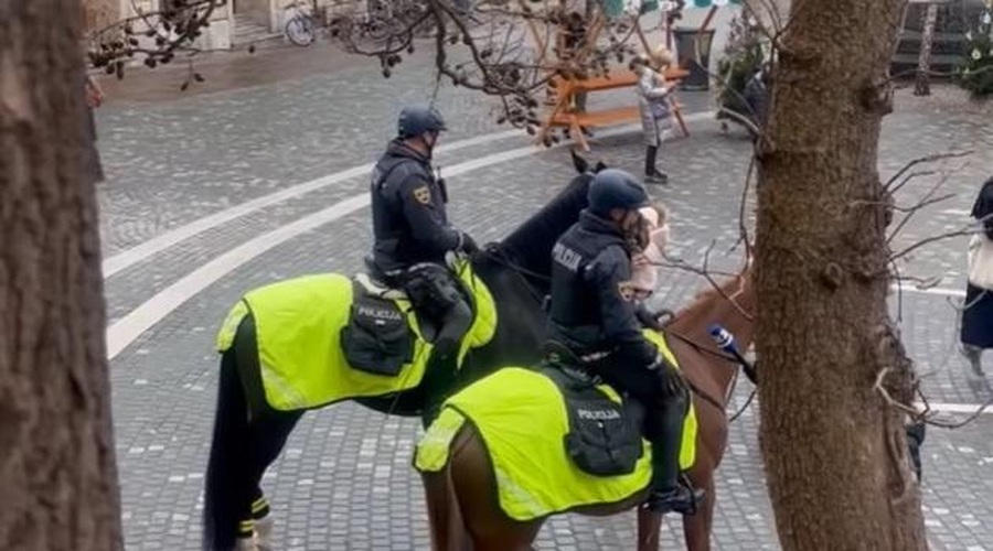 Predpraznično Ljubljano varujejo tudi lepotci na štirih nogah (foto: Slovenska policija / Facebook)
