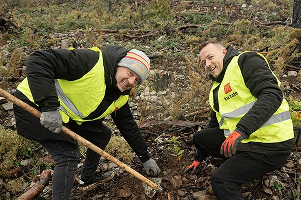 Pohvalno je, kako ta prehranski velikan z malimi koraki osvaja velike cilje: pogozdovanje Krasa je eden od njih! (foto: McDonald's)