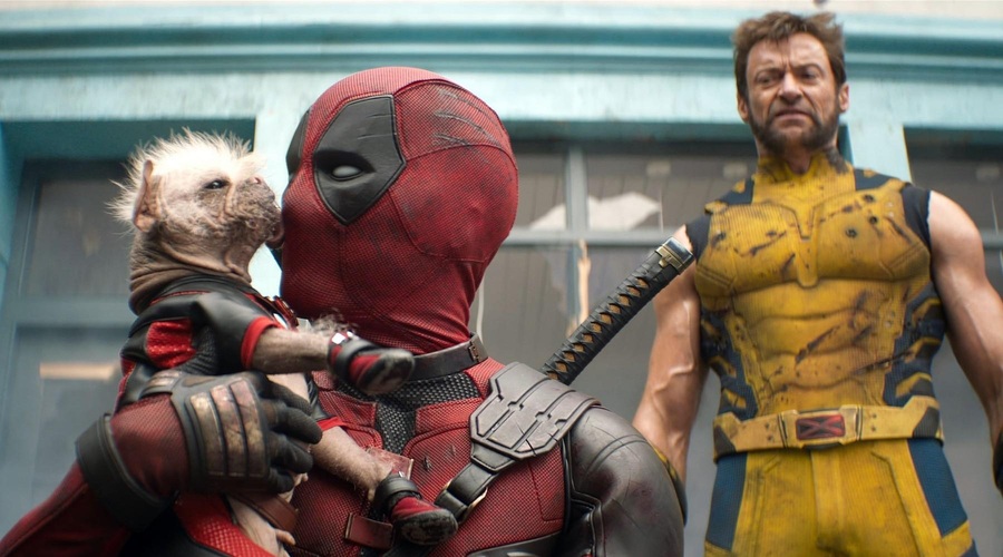 To je 5 najuspešnejših hollywoodskih filmov leta 2024  – ste pogledali vse? (foto: Profimedia)