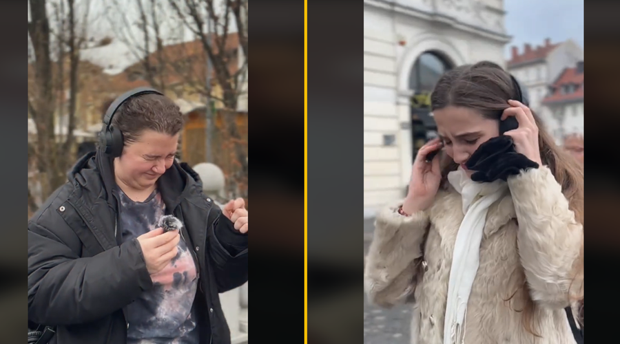 Kako živali doživijo pok petarde? Mladi osupli, ko so jim nadeli slušalke in ... (VIDEO) (foto: Dromagency Tik Tok)