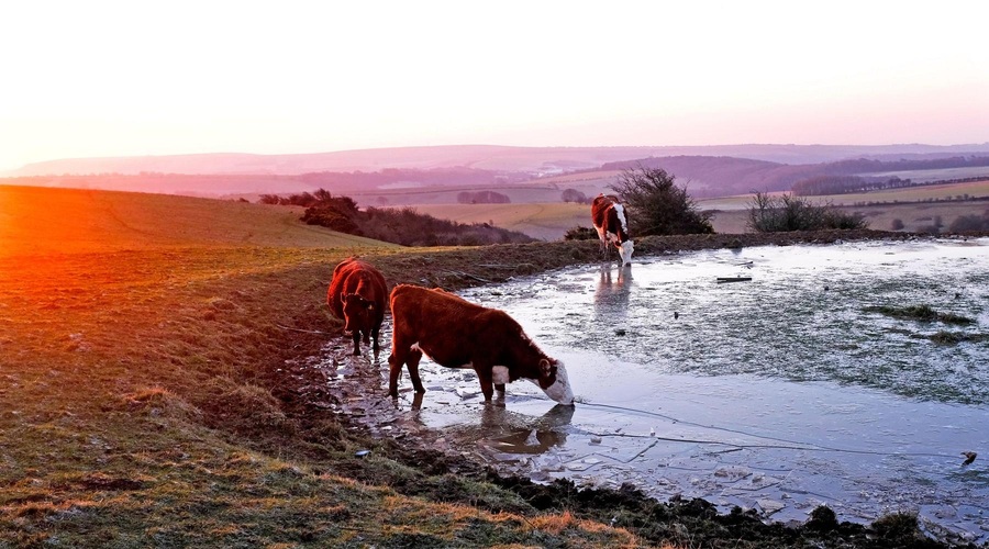 Temperaturni obrat prinaša sončen dan z jutranjimi ... (foto: Profimedia)