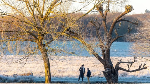 Znano je, kakšno bo vreme v začetku tedna: mnogi se bodo napovedi razveselili