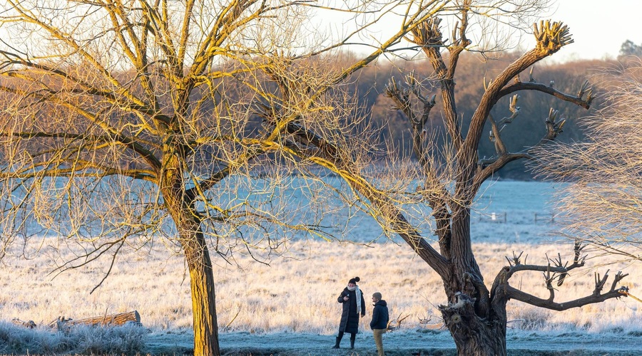 Prvi vikend v novem letu bo prinesel meglice in nekoliko bolj turobno vreme (foto: Profimedia)
