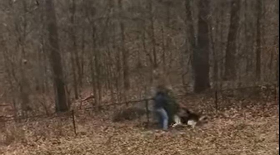 Moški ven iz hiše odnesel praznično smreko in doživel nekaj norega (žena vse skupaj posnela) (foto: Youtube/posnetek zaslona)