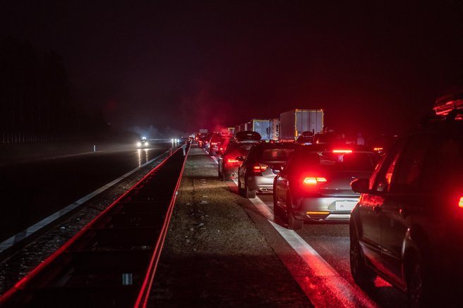 živali pes Gorenjska avtocesta pobeg