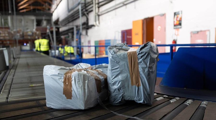 Na letališču našli paket s prav posebnim "potnikom" (foto: Profimedia)