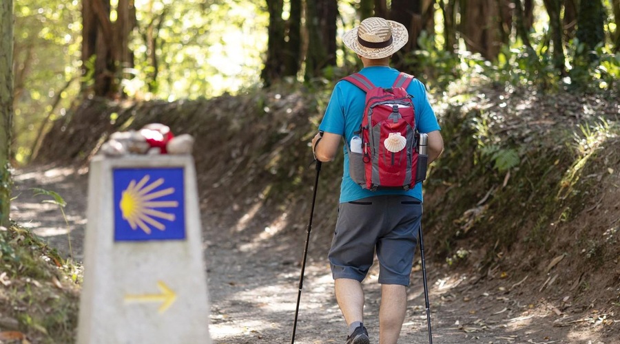 Skriti razlog, ki v Slovenijo privablja vse več turistov (postavljamo se ob bok Italiji in Španiji) (foto: Profimedia)