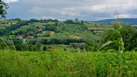 Goričko narava Slovenija