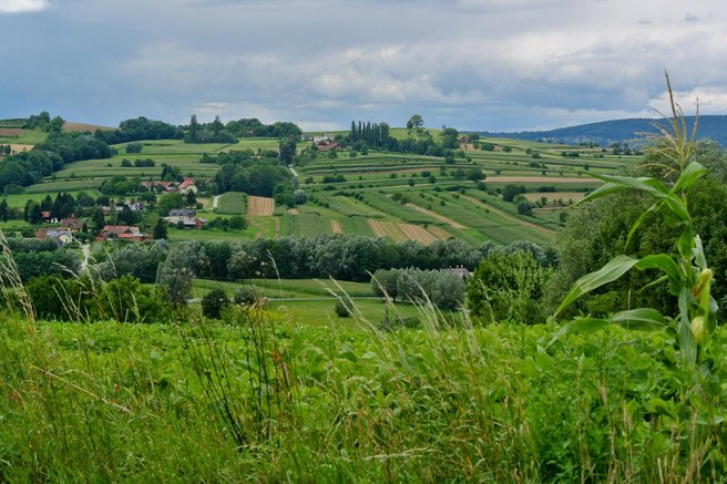 Goričko narava Slovenija