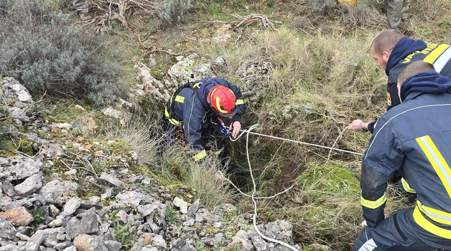 Na Hvaru potekala urgentna reševalna akcija, junak pa pes Don (foto: DVD Hvar / Facebook)