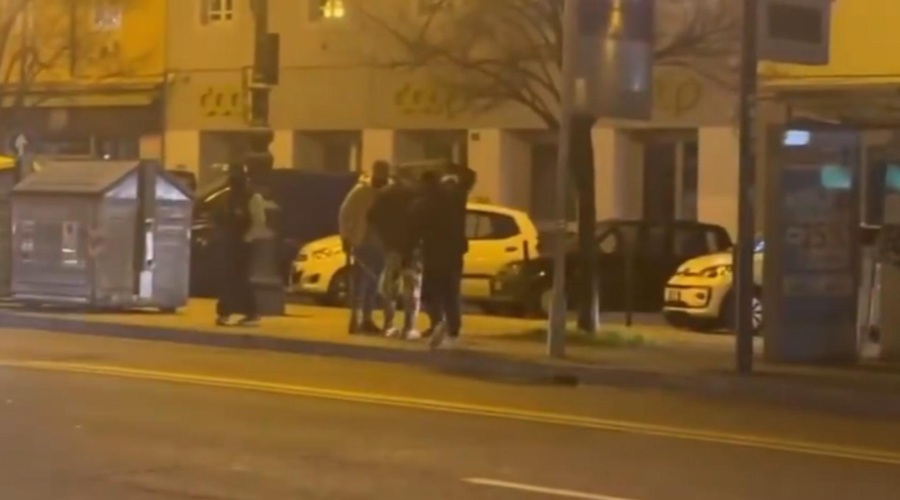 Tolpi Pakistancev in Afganistancev sta sejali strah po mestu: objavljamo VIDEO dogajanja, ki je pretreslo domačine (foto: X/Francesca Totolo/posnetek zaslona)