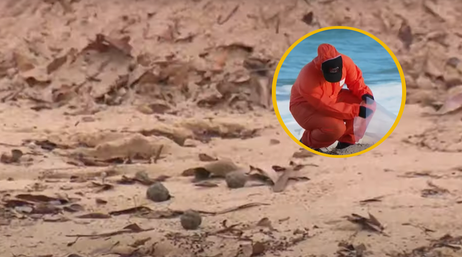 Obalo preplavile skrivnostne kroglice: oblasti zaprle plaže, javnost prestrašena (sumijo, da gre za ...) (foto: YouTube/posnetek zaslona/10 News First)