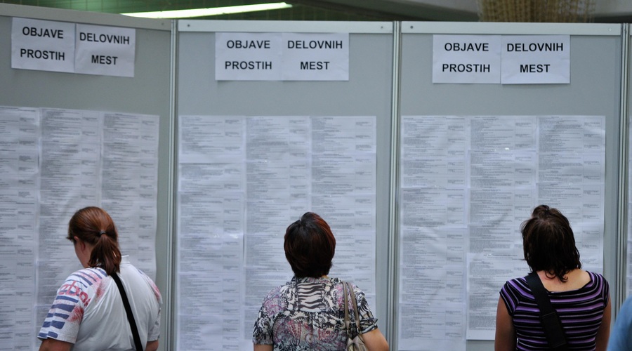 Slovenski oglas, ki dviguje obrvi: ponujajo 12.500 evrov za 3 mesece dela (noro, kaj zahtevajo) (foto: Miloš Vijunović/Bobo)