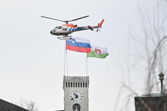 drevesa grajski gric