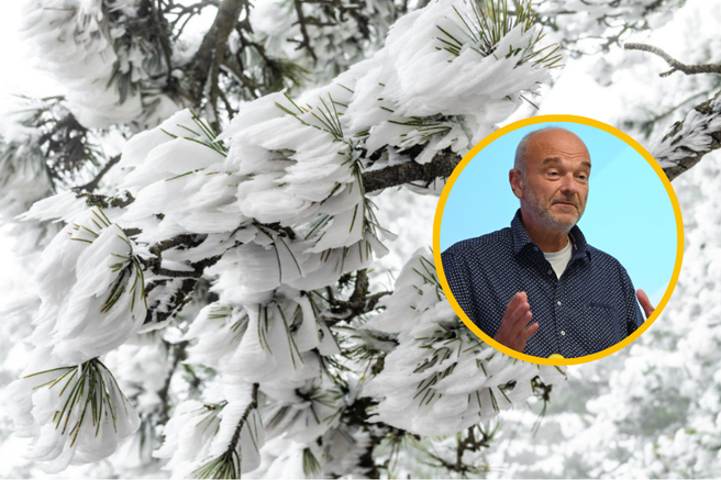 ivje vreme Branko Gregorčič